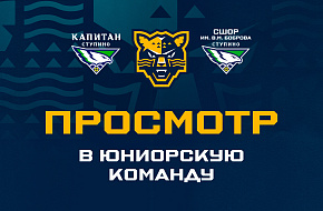 Просмотр в юниорскую команду